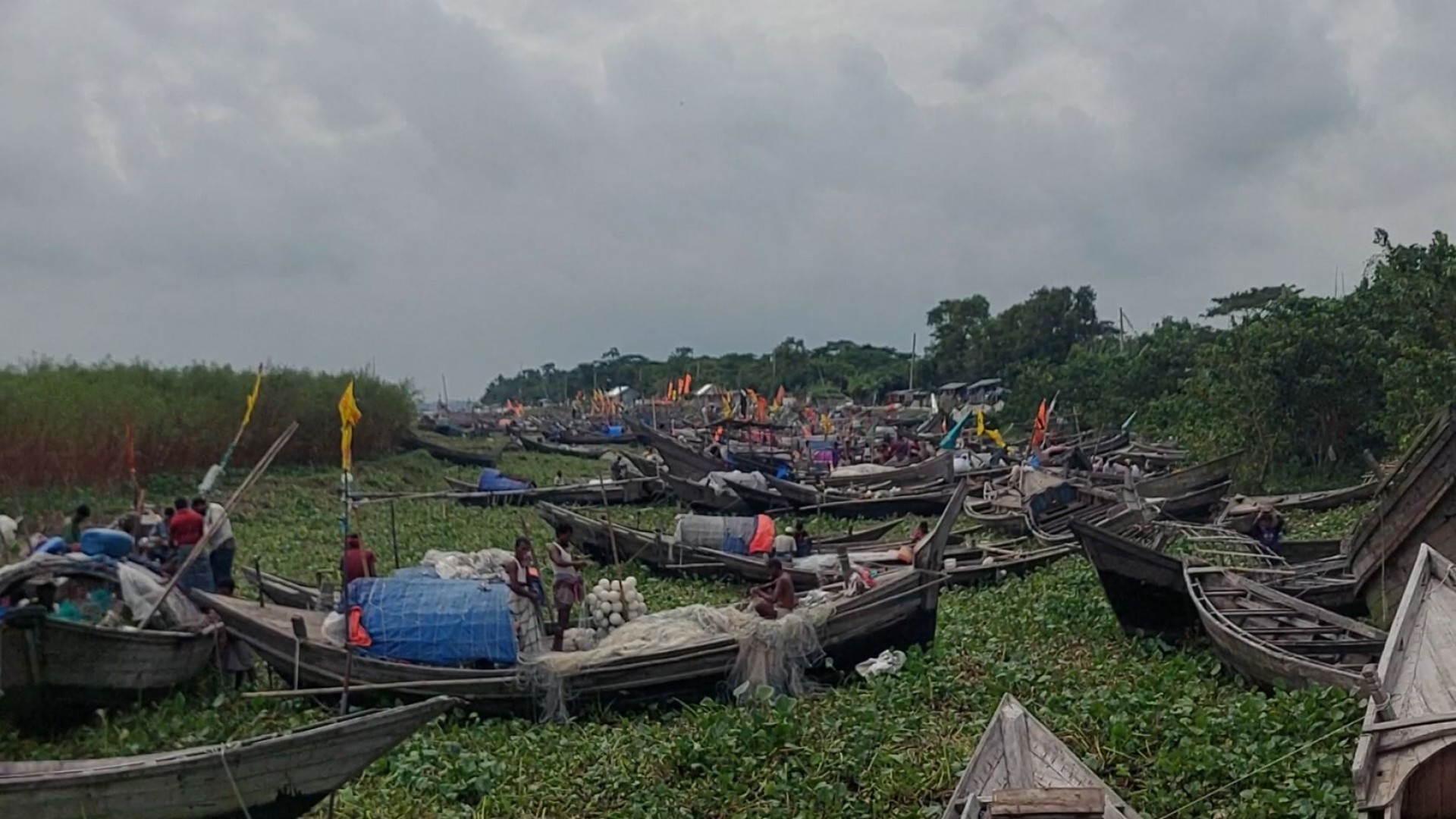 নদীতে ইলিশ আহরণে ২২ দিনের নিষেধাজ্ঞা শুরু