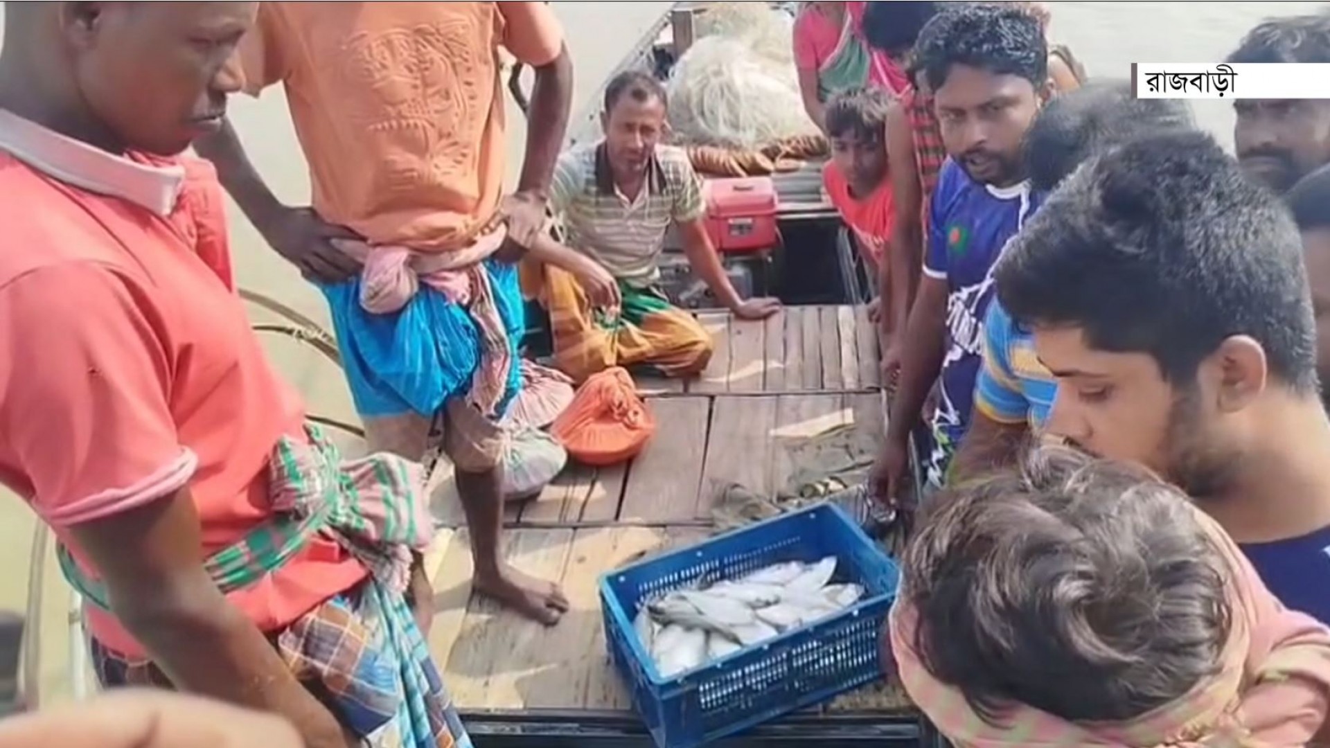 নিষেধাজ্ঞা উপেক্ষা করে পদ্মায় অবাধে শিকার করছে মা ইলিশ