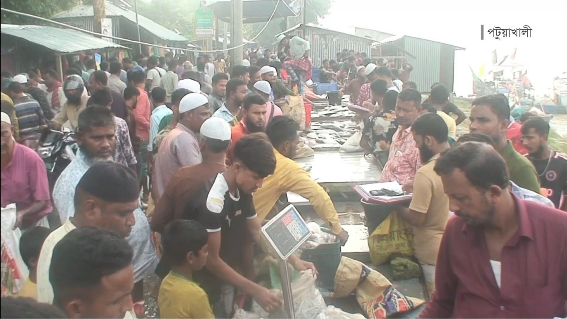 পটুয়াখালীর পানপট্টি বাজারে ২ ঘণ্টায় বিক্রি কোটি টাকার মাছ