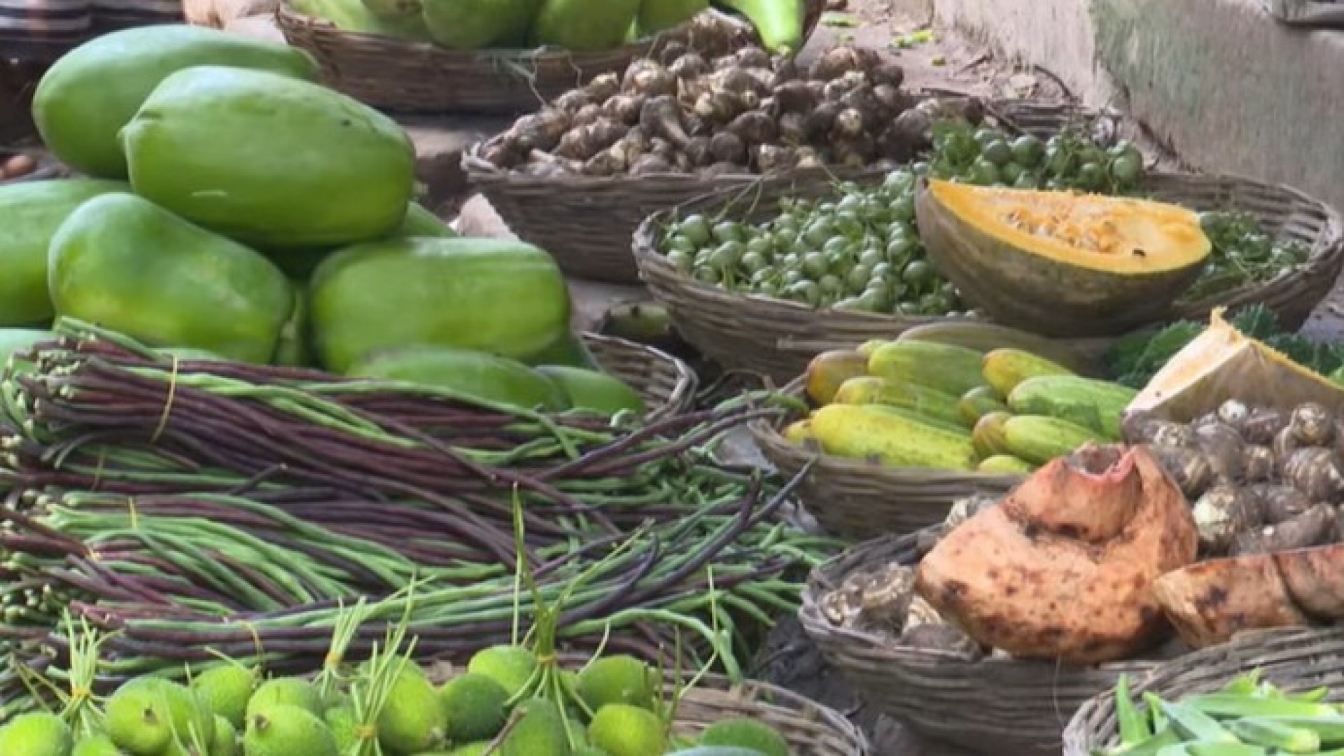 সাতক্ষীরার শীতকালীন আগাম সবজি বাজারে