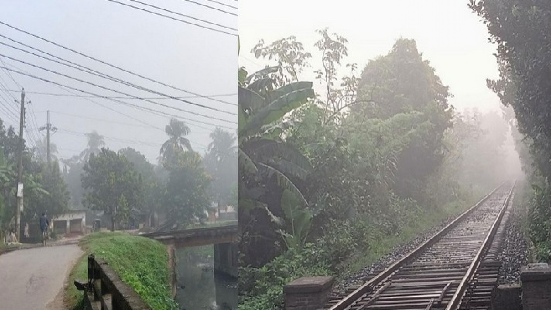 কুয়াশায় মোড়া রাজশাহী, সর্বনিম্ন তাপমাত্রা ২২.২ ডিগ্রি