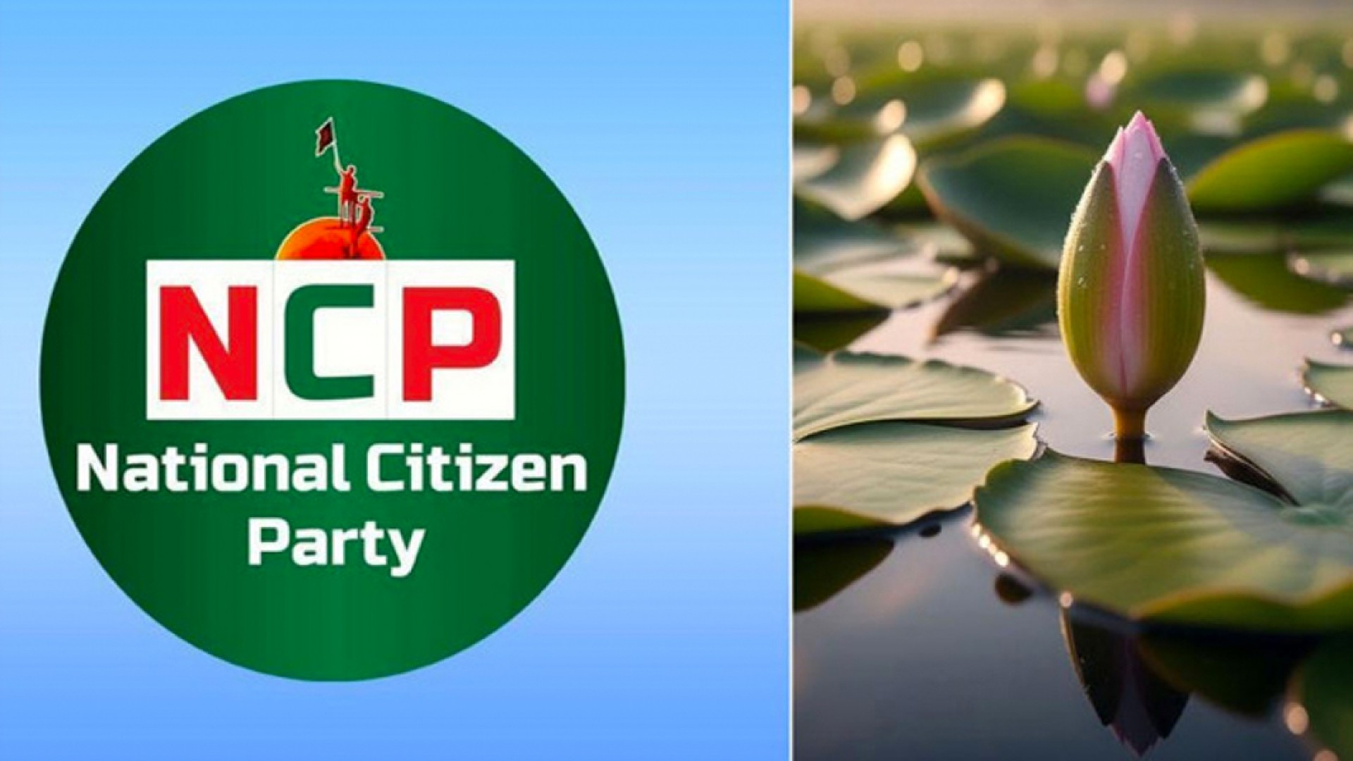 ‘শাপলা কলি’ প্রতীকই পেল এনসিপি