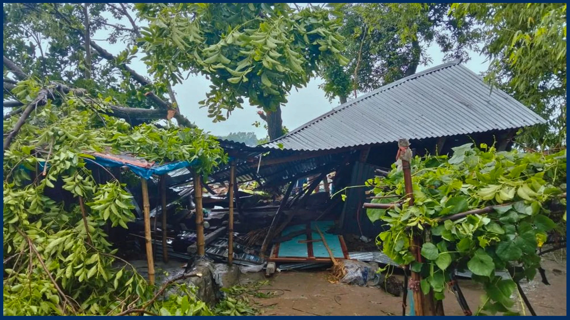 জামালপুরে কালবৈশাখী ঝড়ে গাছ পড়ে মা ও ২ মেয়ের মৃত্যু