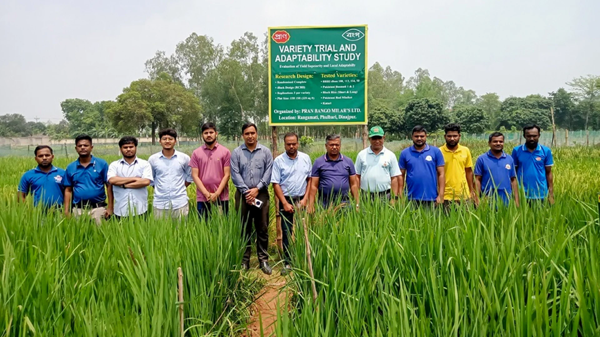 ফুলবাড়ীতে উন্নত জাতের ধান চাষে সাফল্য, বাসমতিসহ ১২ জাত নিয়ে নতুন সম্ভাবনা