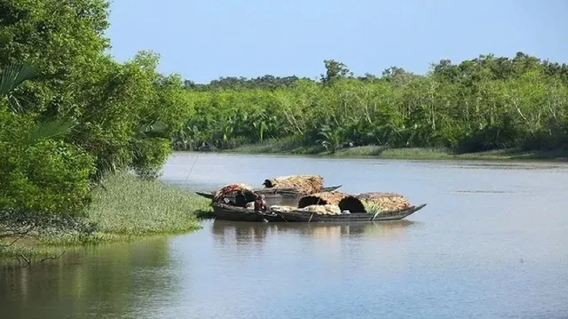 সুন্দরবনে দুই দিনে ২০ জেলে-মৌয়াল অপহরণের অভিযোগ