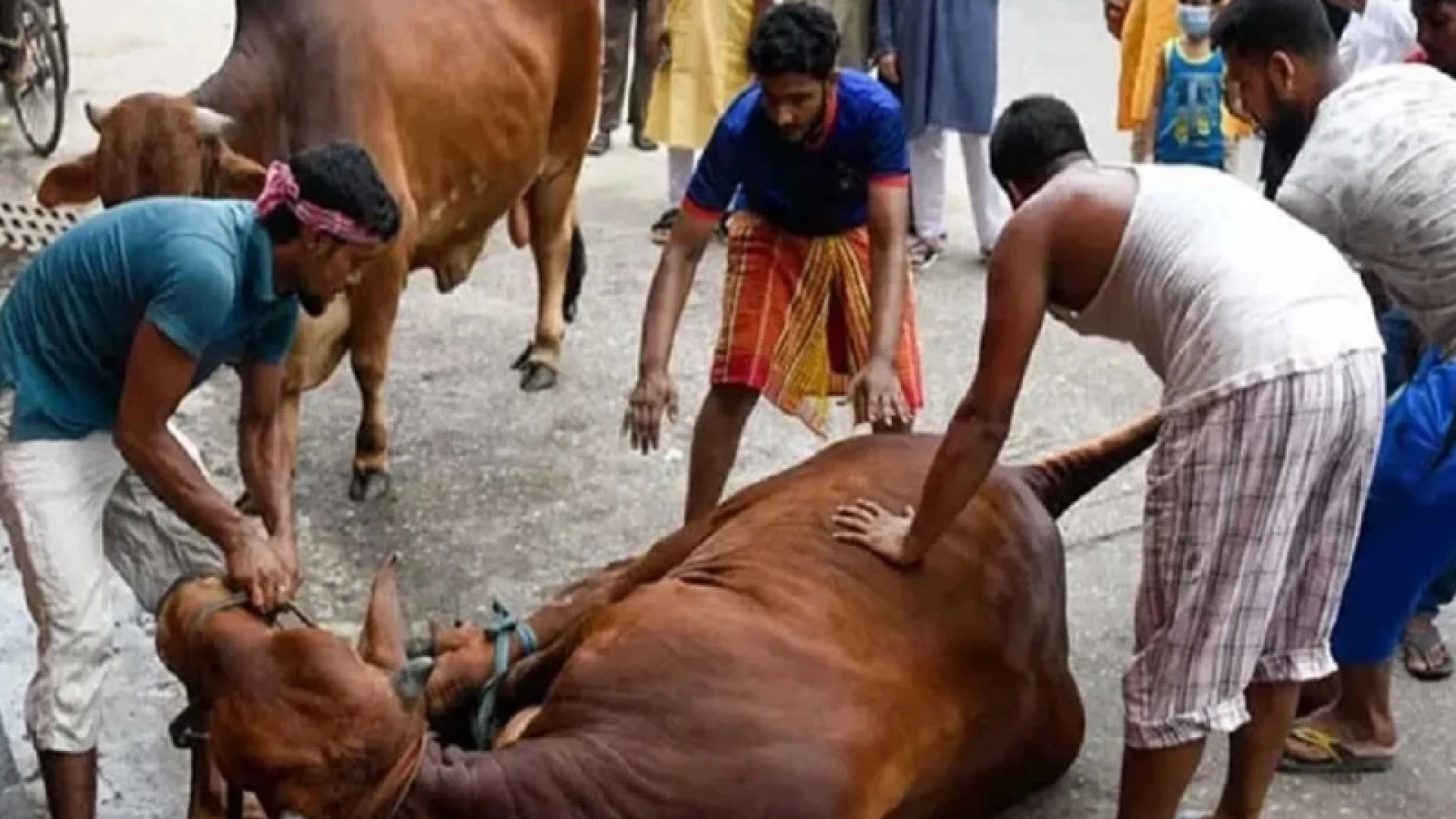 ঢাকায় ঈদের দ্বিতীয় দিনেও চলছে পশু কোরবানি