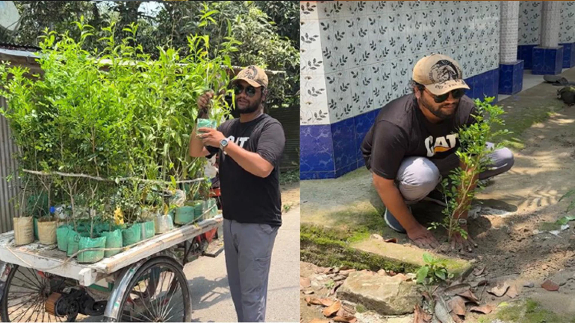 কবরের ফুলগাছ চুরি, পুরো গ্রামে ফুল গাছ রোপণ করে অভিনব প্রতিবাদ
