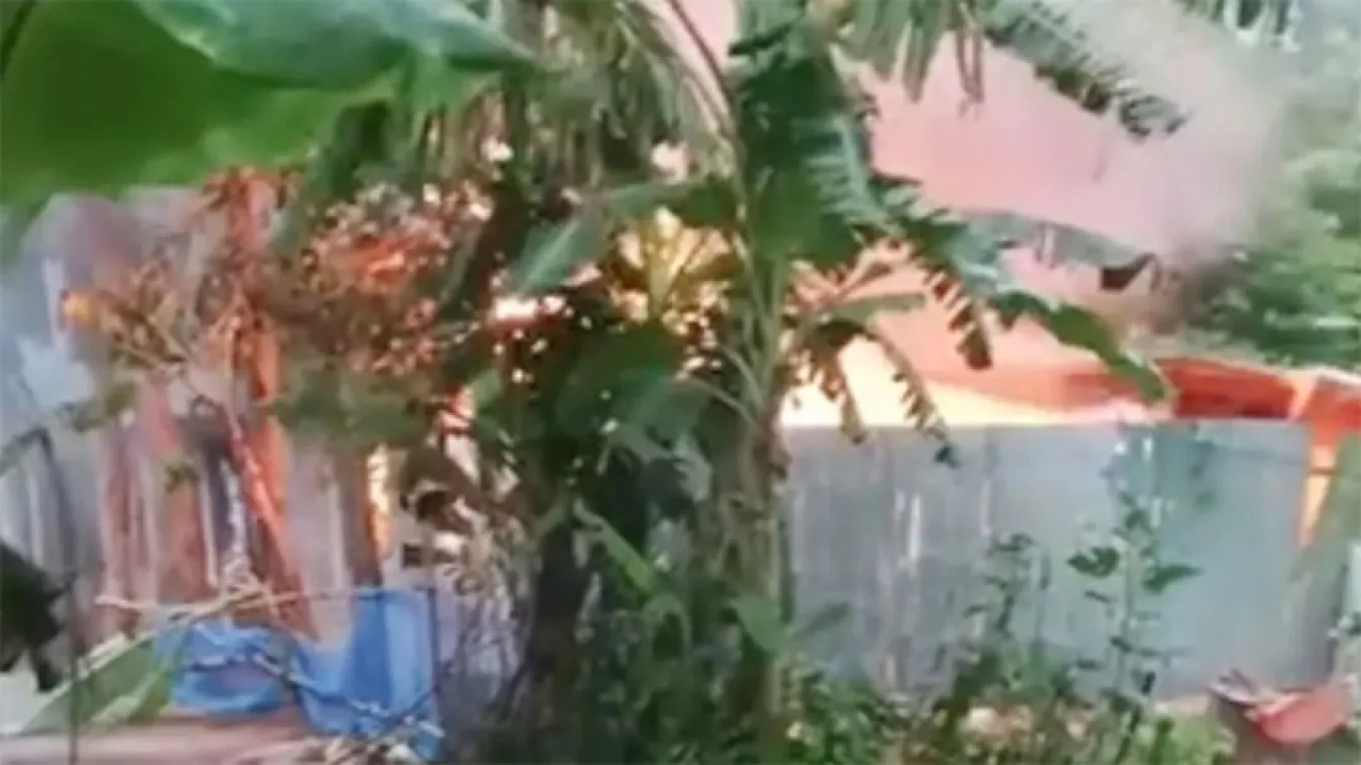 পাবনায় ধর্ষণ-হত্যার জেরে অগ্নিকাণ্ড, ৩ জনের মৃত্যু