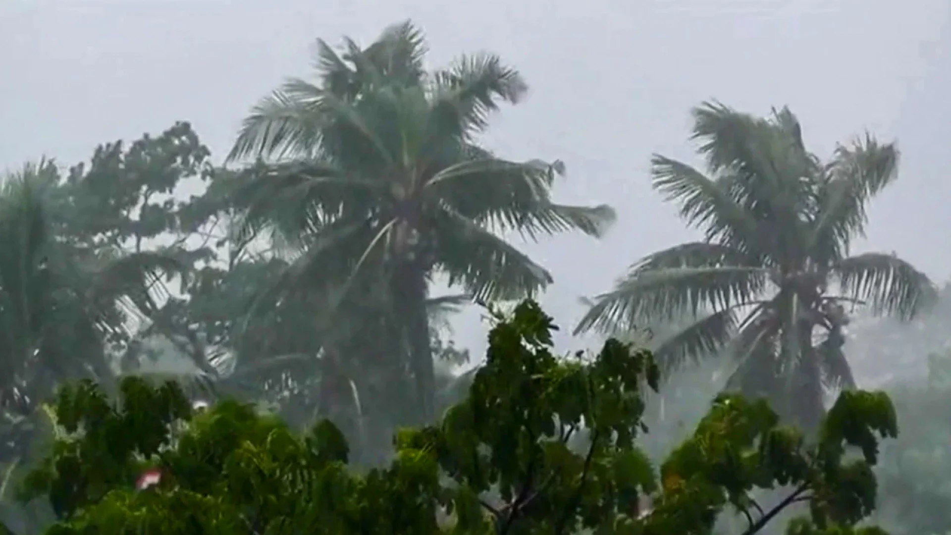 মৌসুমি বায়ুর প্রভাবে বাড়ছে বৃষ্টি, বিভিন্ন অঞ্চলে বজ্রসহ ঝোড়ো হাওয়ার পূর্বাভাস