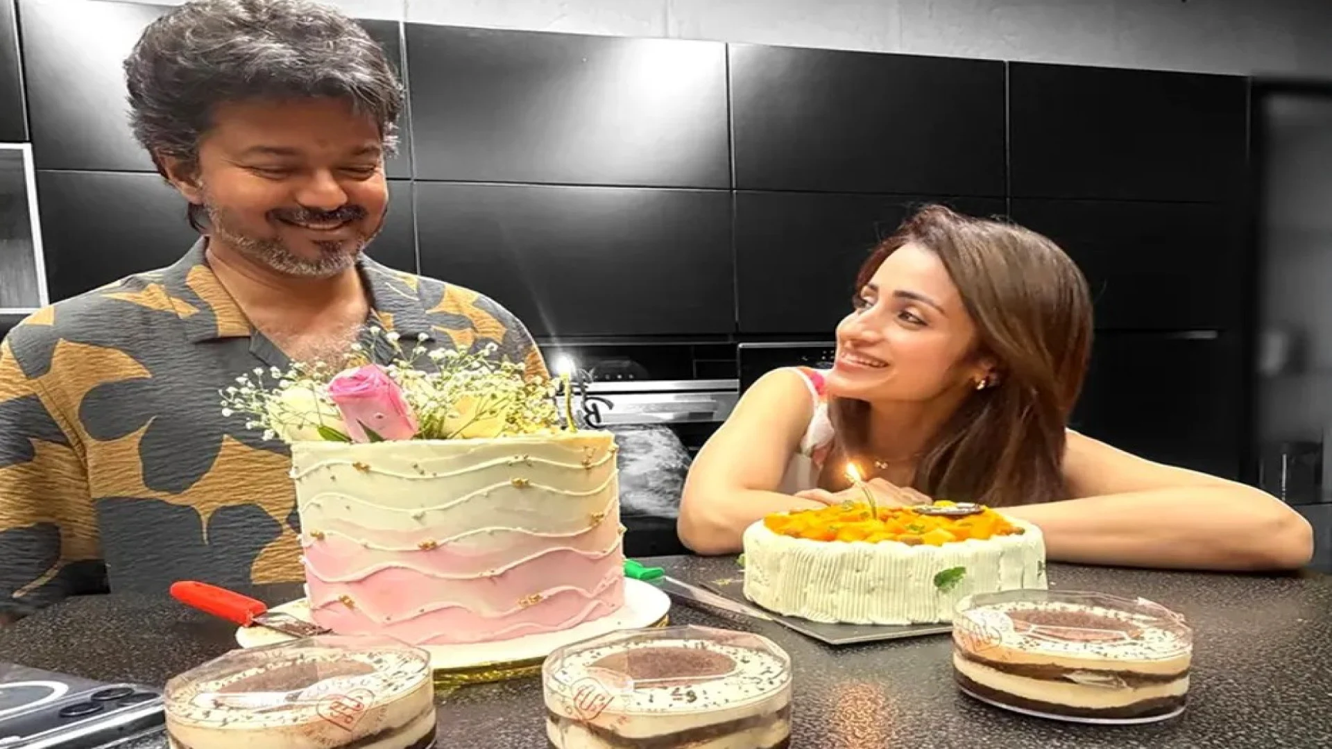 ভাঙনের গুঞ্জন উড়ে গেল বিজয়-তৃষার বিশেষ ছবির ঝড়ে