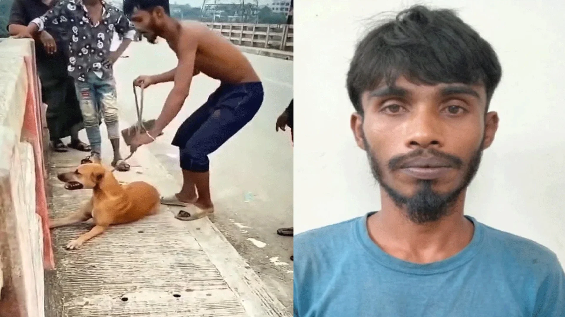 কুকুরের গলায় ইট বেঁধে নদীতে ফেলে দেওয়ায় প্রধানমন্ত্রীর নির্দেশে যুবক আটক