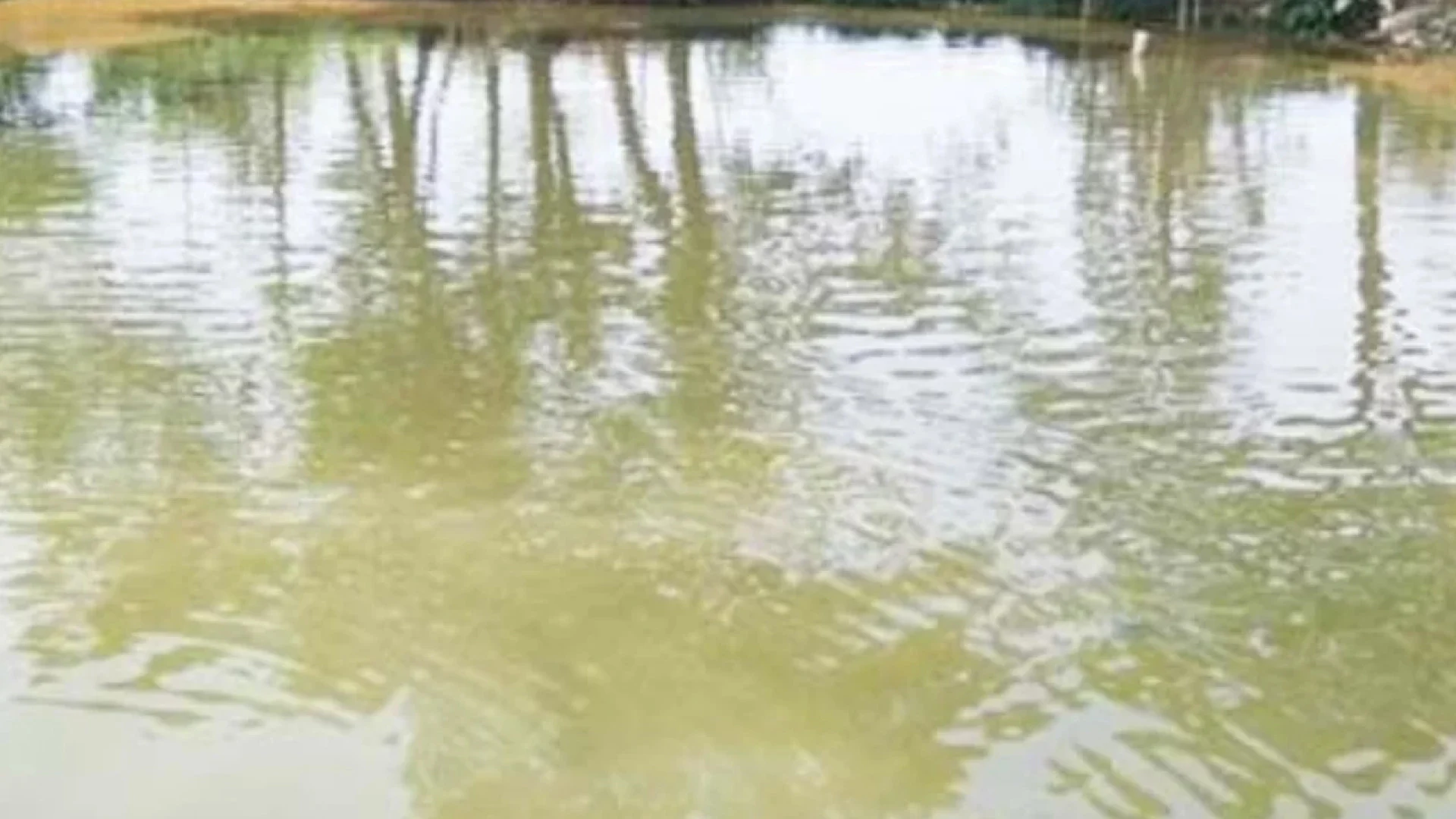 ময়মনসিংহে ছোট বোনকে বাঁচাতে পুকুরে ঝাপ, একসঙ্গে দুজনের মৃত্যু