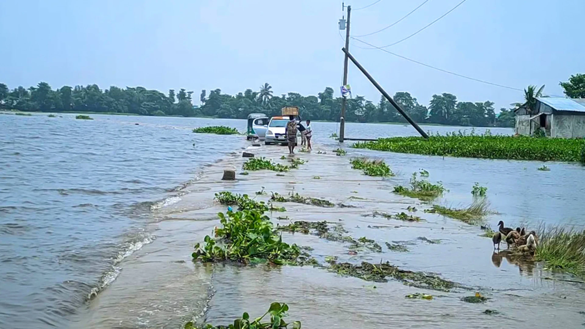 ভারী বৃষ্টিতে বাড়ছে নদ-নদীর পানি, কয়েকটি অঞ্চলে স্বল্পমেয়াদি বন্যার শঙ্কা