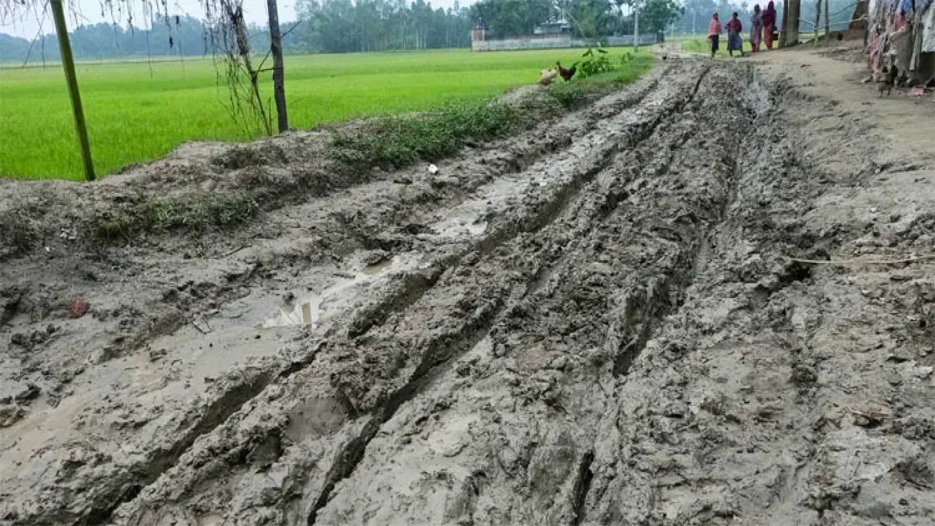 এমপিকে দিয়ে উদ্বোধন, পরে সড়কের ইট বিক্রির অভিযোগ