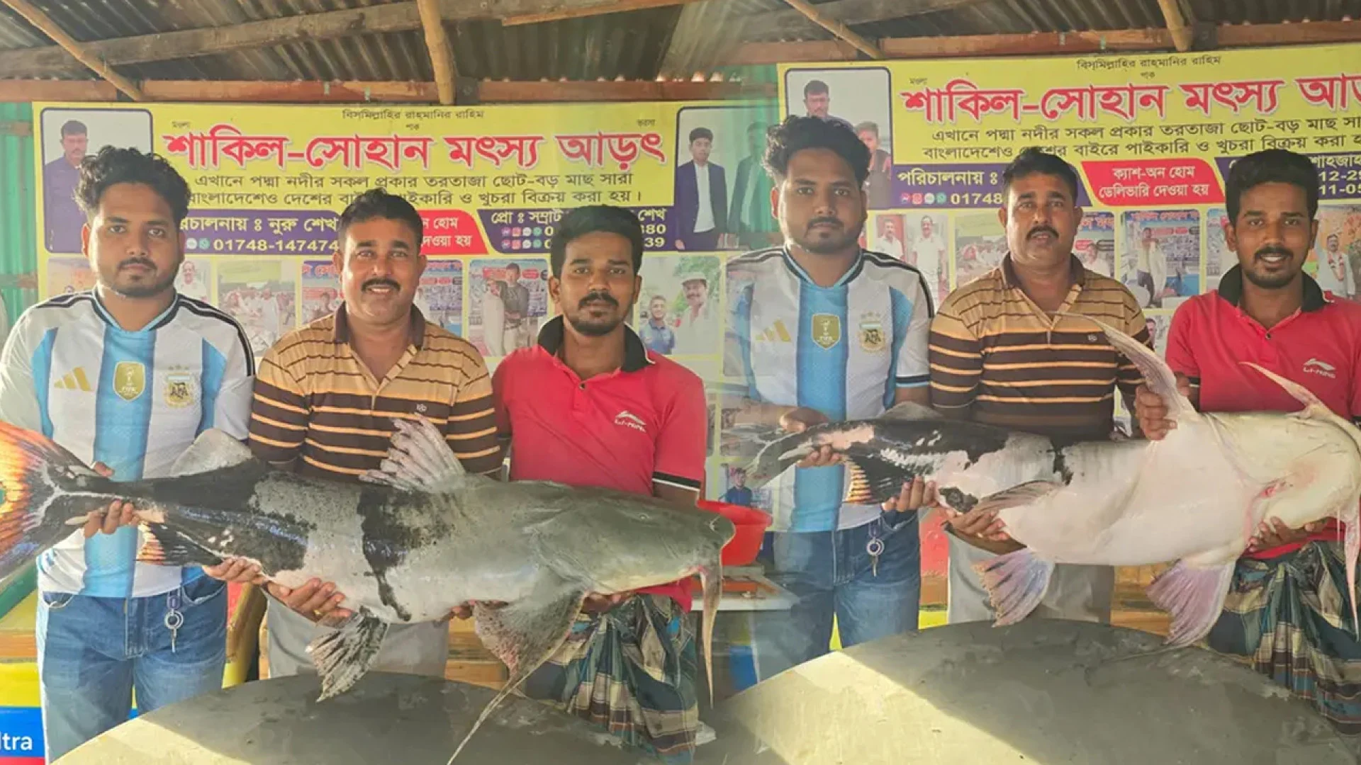 পদ্মার ২ বাঘাড় বিক্রি হলো সোয়া লাখ টাকায়