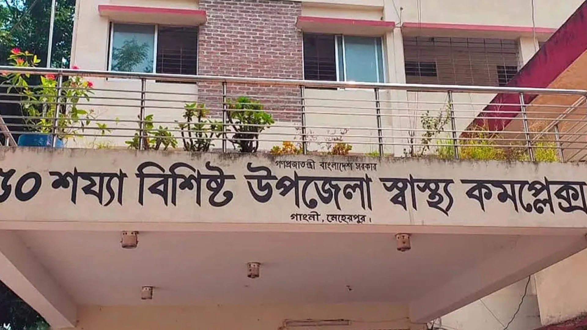 মেহেরপুরে কুকুরের কামড়ে নারী-শিশুসহ আহত ২০