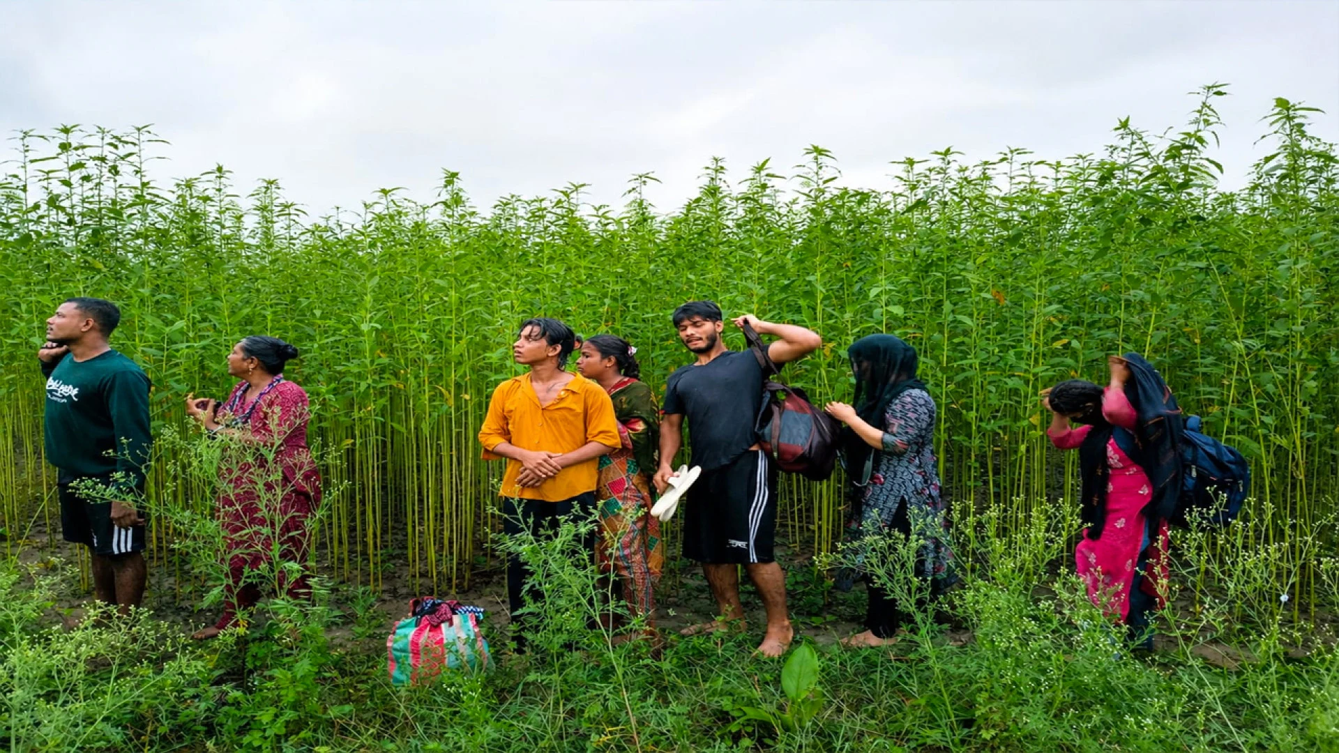 কুষ্টিয়া সীমান্তে ৮ জনকে পুশ-ইনের চেষ্টা, রুখে দিল বিজিবি