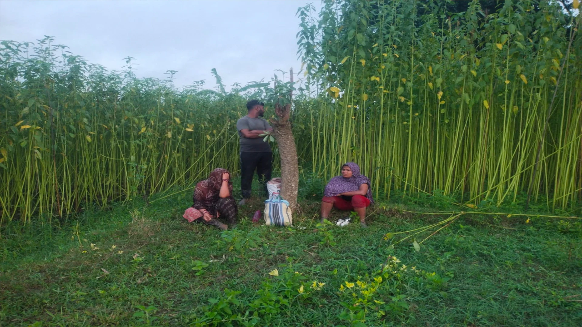 জীবননগর সীমান্তে ৩ জনকে পুশ-ইনের চেষ্টা, বিজিবির প্রতিরোধ