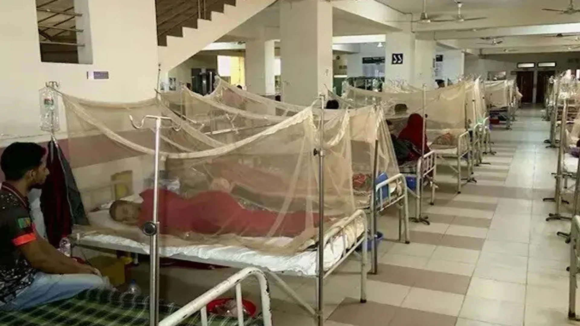 ডেঙ্গুতে আরও ২ জনের মৃত্যু, হাসপাতালে ভর্তি ৬৭২