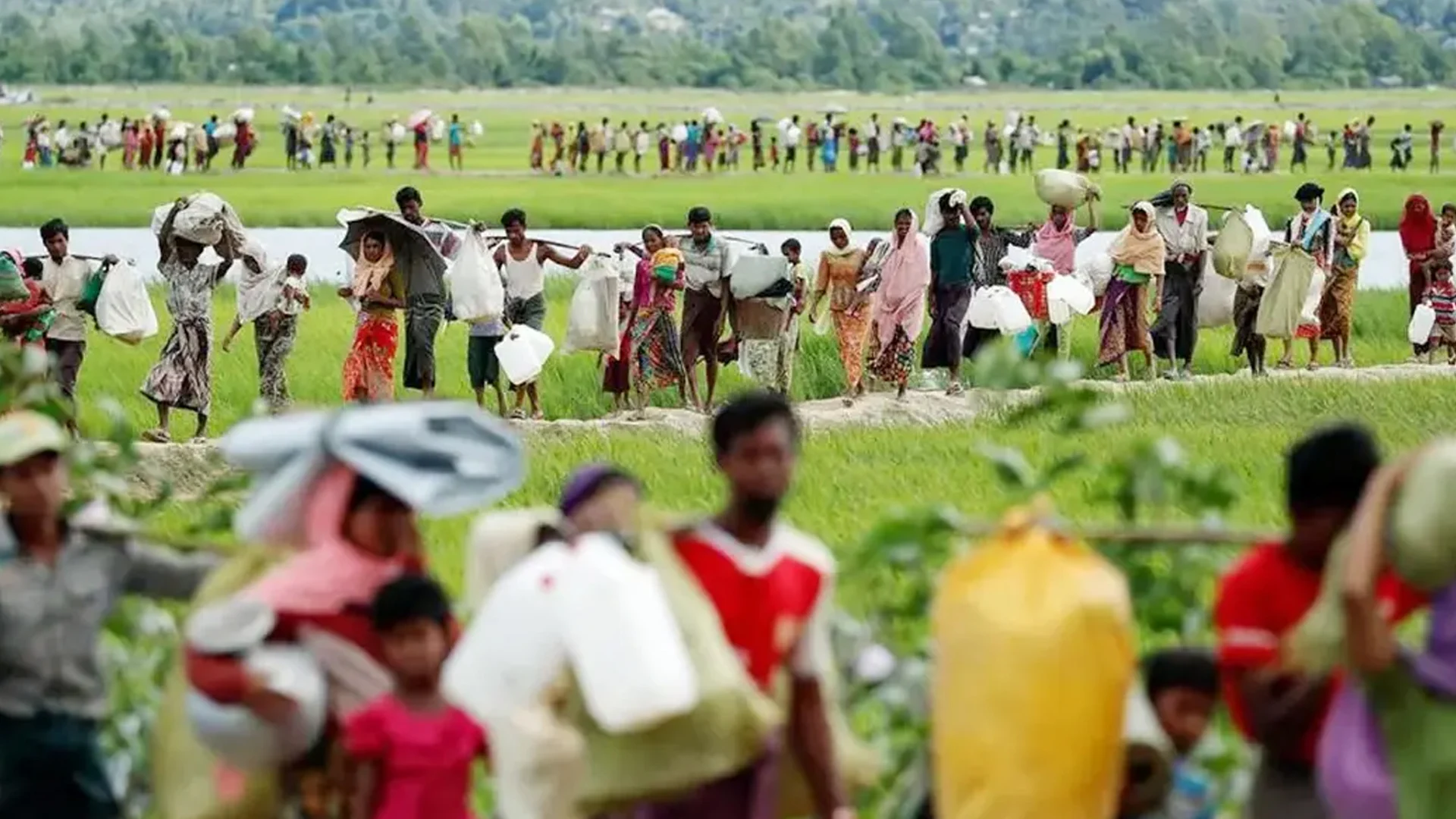 রাখাইনের পরিস্থিতি শান্ত না হলে রোহিঙ্গা প্রত্যাবাসন নয়