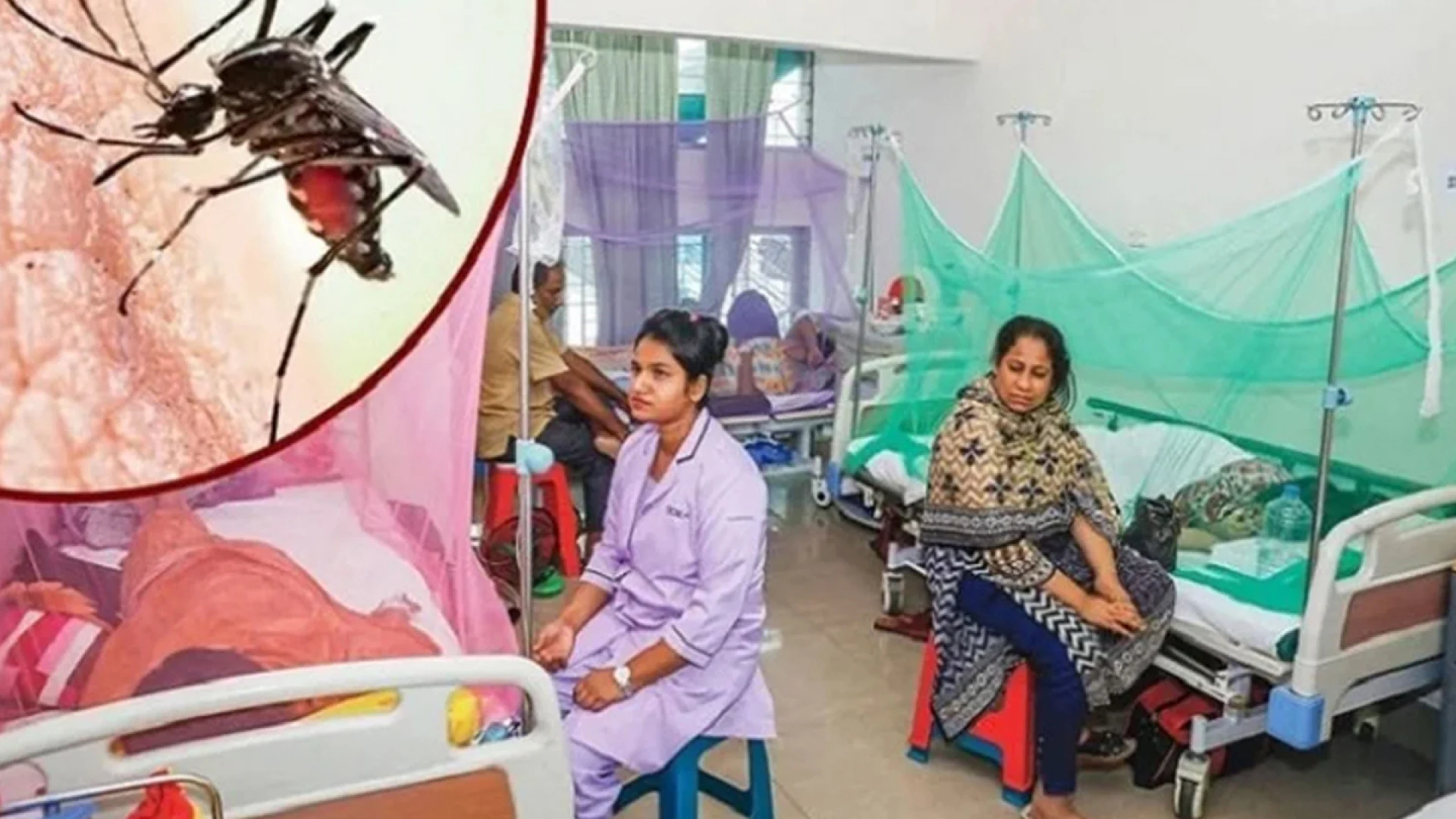ডেঙ্গুর প্রকোপে মৃত্যু ১০০ ছাড়াল, আক্রান্ত ৩৭ হাজার