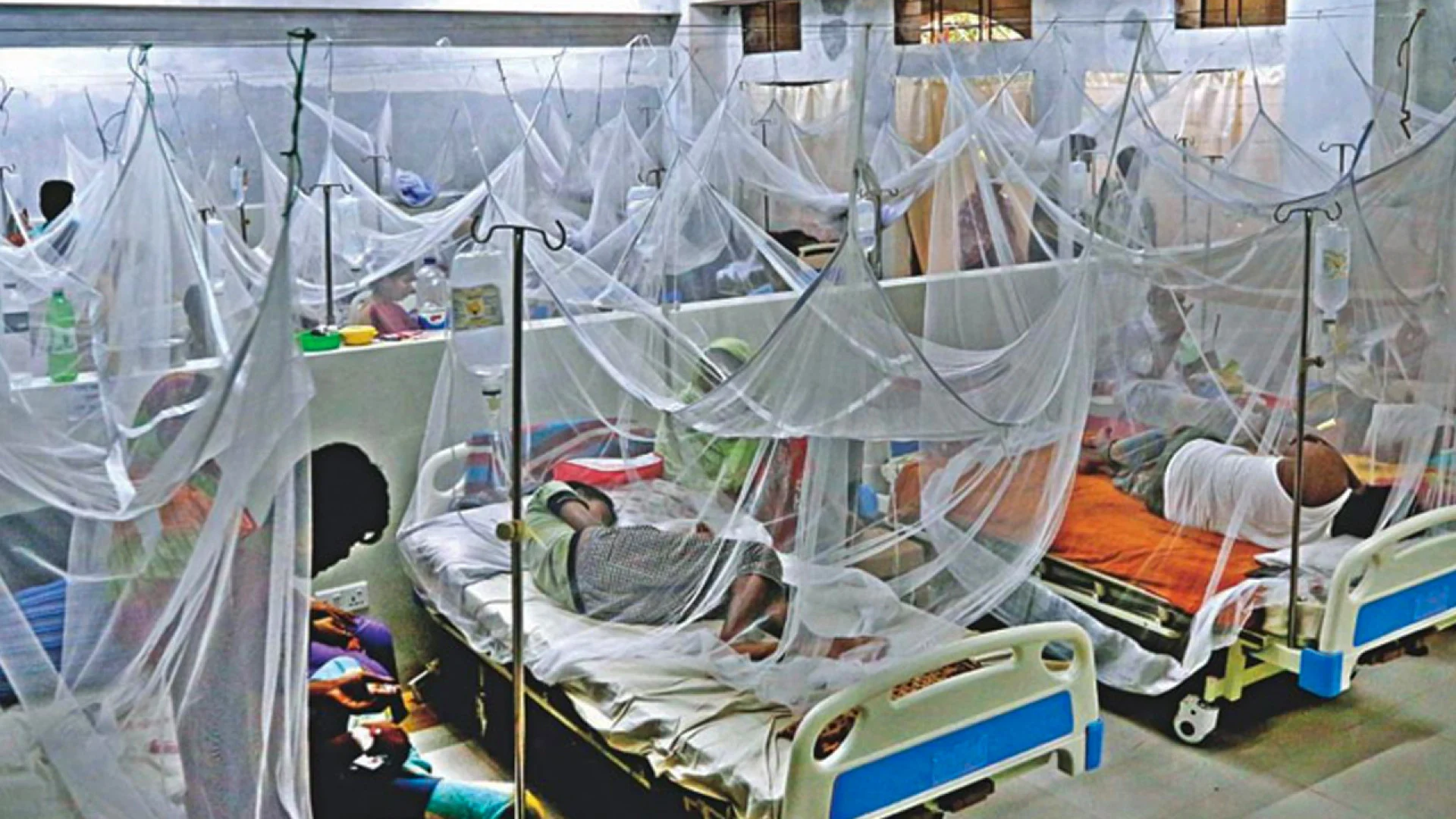 ডেঙ্গুতে আরও ৯ জনের মৃত্যু, হাসপাতালে ভর্তি ১৫৭১
