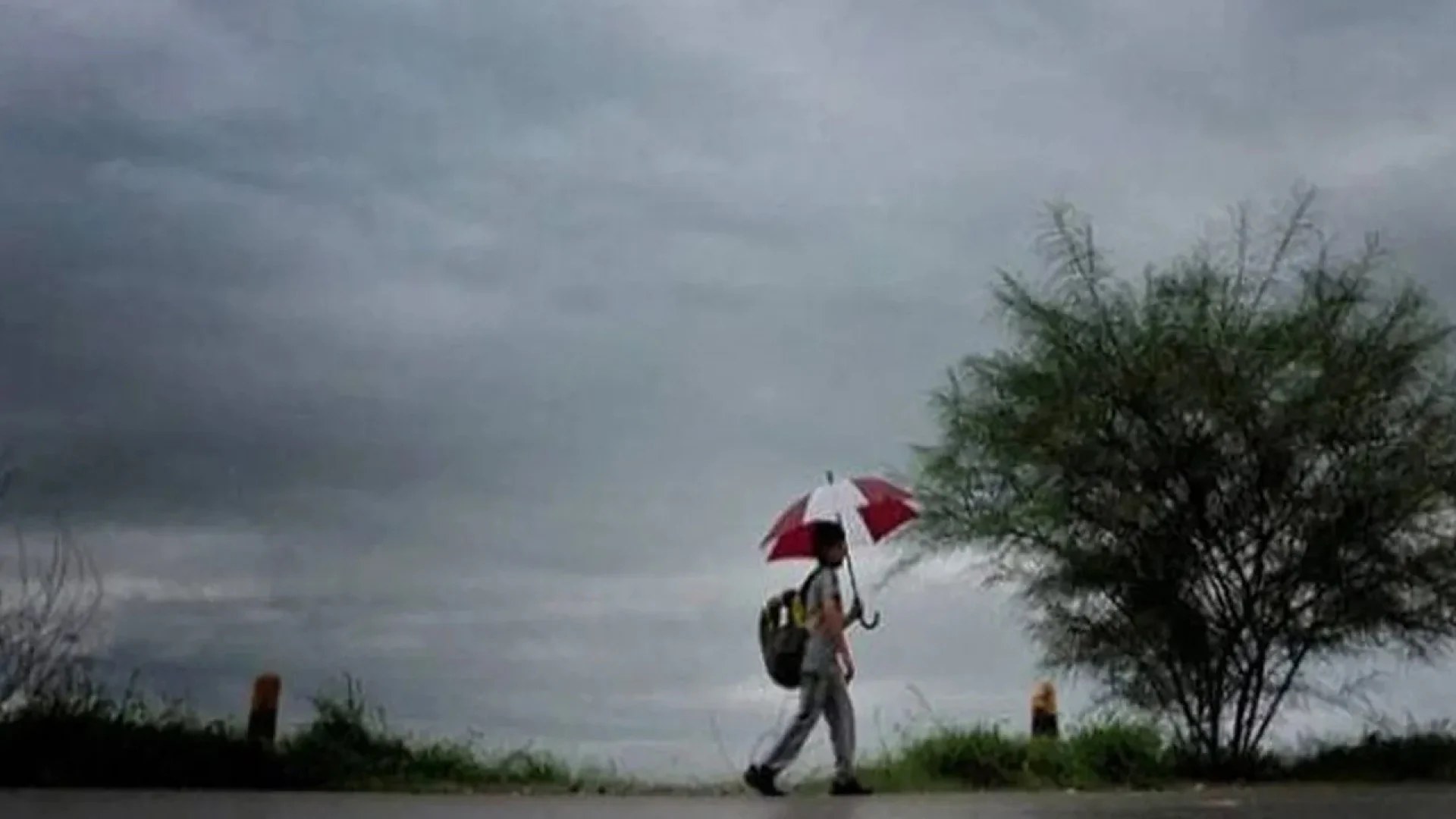 ঢাকার যানজট কমাতে রিং রোডের নির্মাণকাজে গতি বাড়ানোর নির্দেশ প্রধানমন্ত্রীর