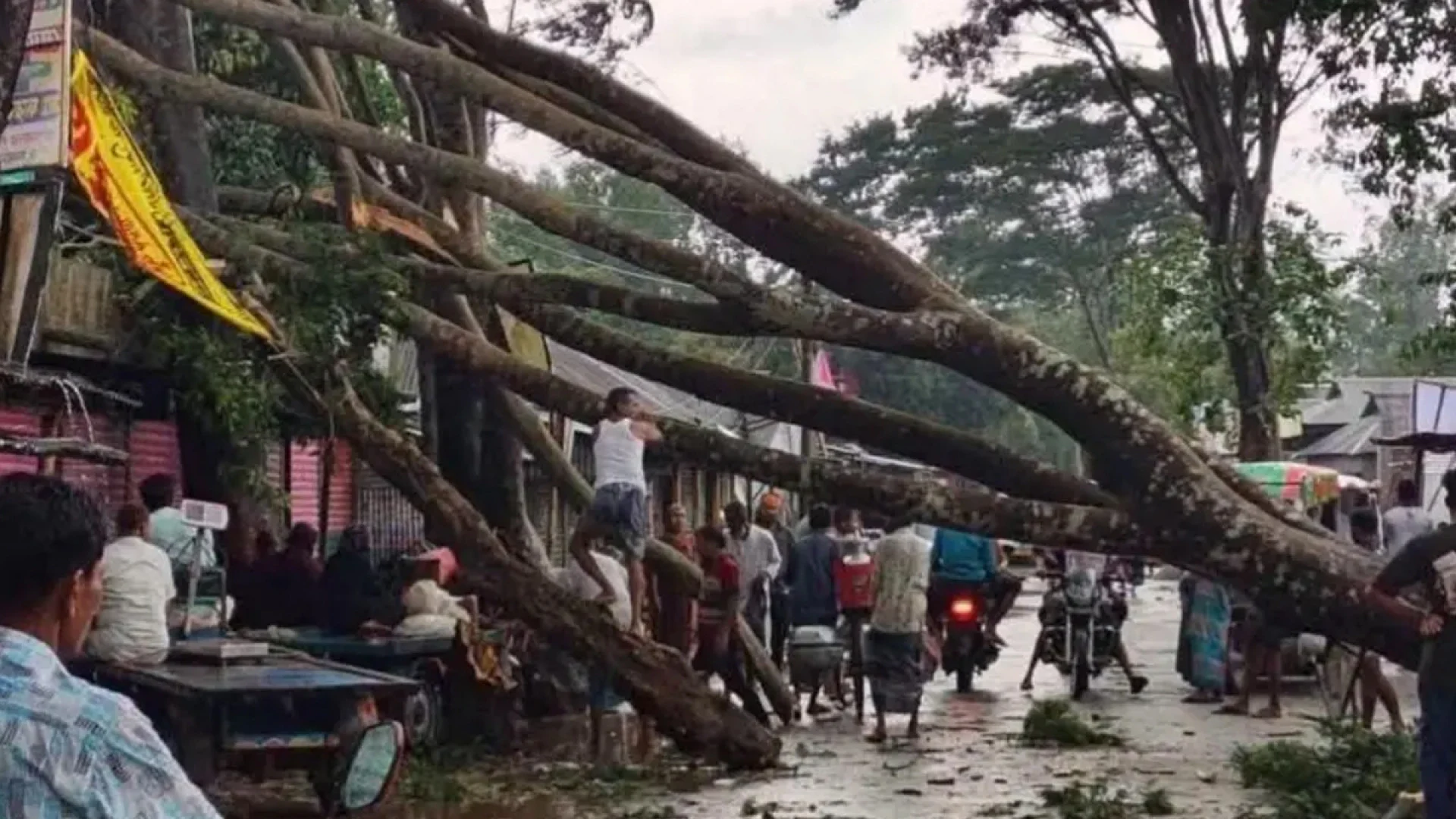 বকশীগঞ্জে আকস্মিক ঝড়ে ব্যাপক ক্ষয়ক্ষতি, গাছ পড়ে সড়ক যোগাযোগ বন্ধ