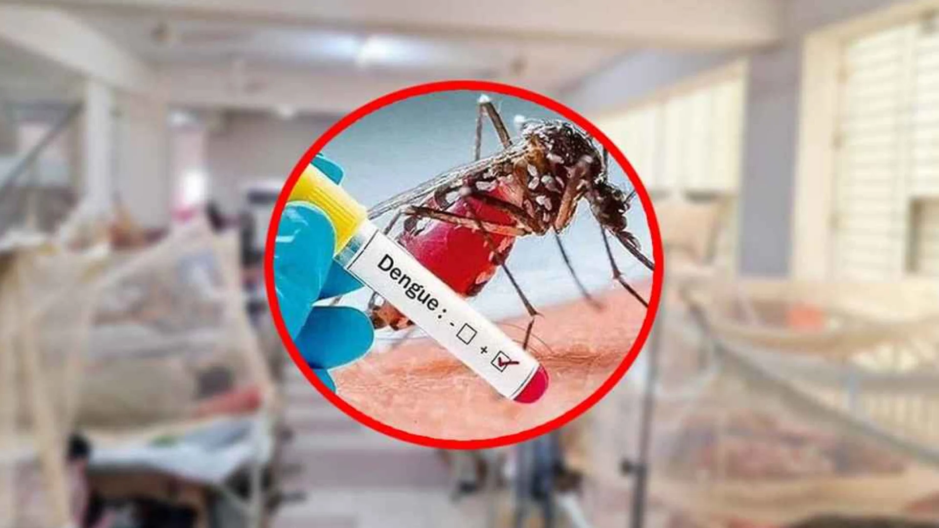 ডেঙ্গুতে একদিনে ৯ মৃত্যু, হাসপাতালে নতুন রোগী প্রায় ২ হাজার